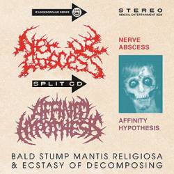 Nerve Abscess : Bald Stump Mantis Religiosa & Ecstasy of Decomposing